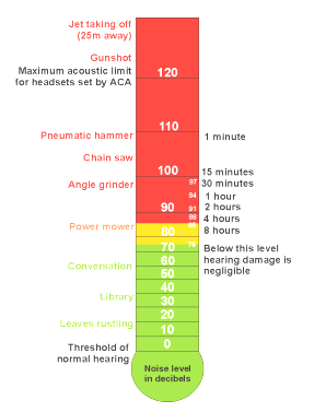 Hearing Damage Levels